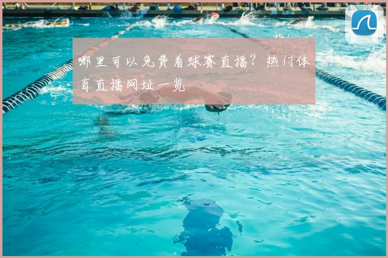 哪里可以免费看球赛直播？热门体育直播网址一览