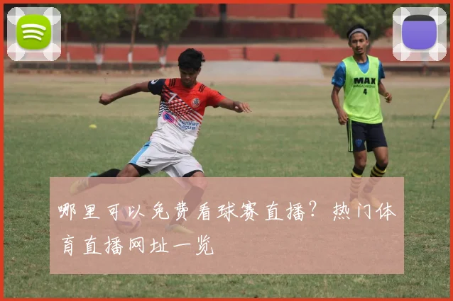 哪里可以免费看球赛直播？热门体育直播网址一览